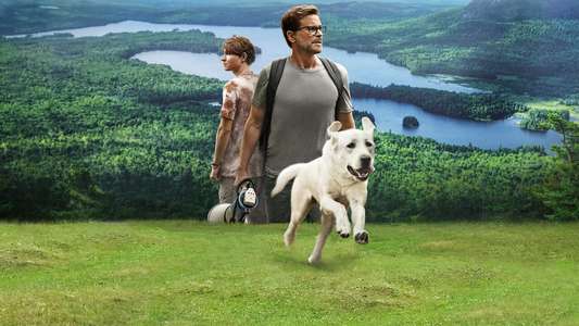 Dog Gone - Backdrop