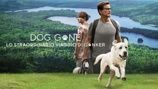 Dog Gone - Backdrop