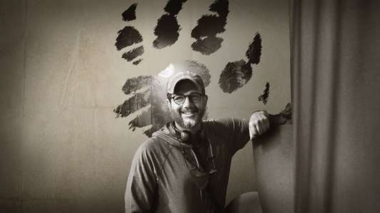 Director by Night - Backdrops