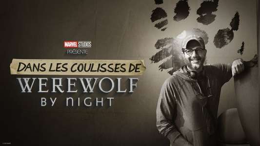 Director by Night - Backdrops