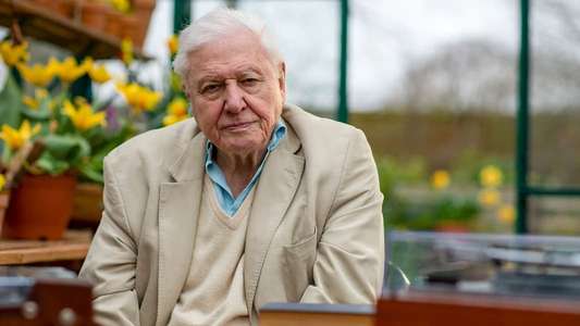 Attenborough's Wonder of Song - Backdrops