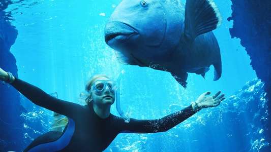 Blueback - Backdrops