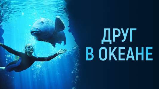 Blueback - Backdrops