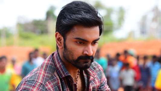 Pattathu Arasan - Backdrop