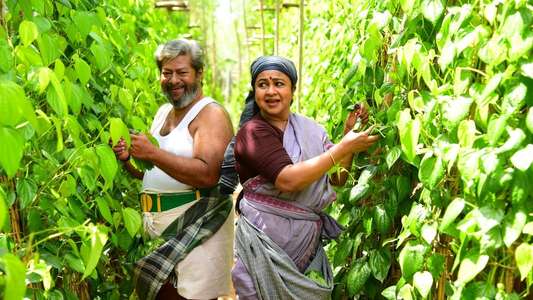 Pattathu Arasan - Backdrop