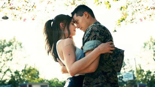 Purple Hearts - Backdrop