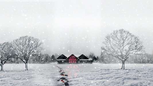 Snow Falls - Backdrops