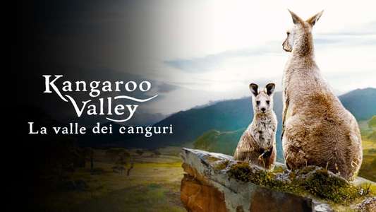Kangaroo Valley - Backdrops