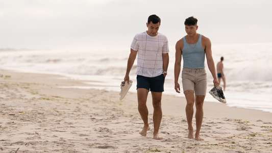 Fire Island - Backdrops