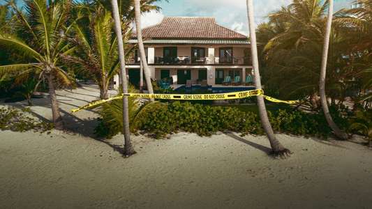 Running with the Devil: The Wild World of John McAfee - Backdrop