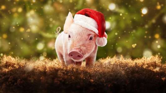 Christmas on Mistletoe Farm - Backdrop