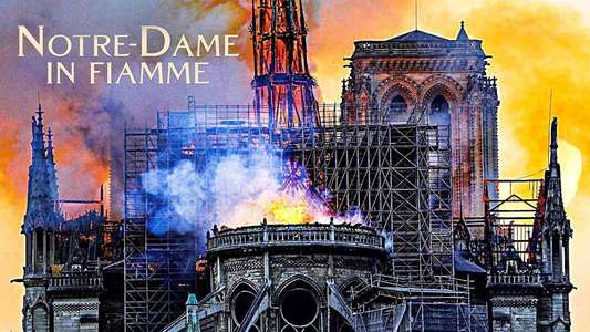 Notre-Dame on Fire - Backdrop