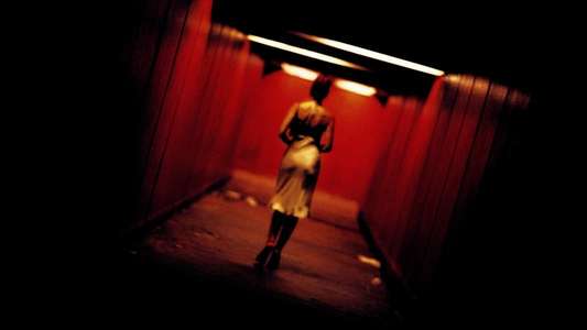 Irreversible - Backdrop
