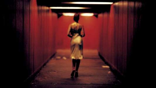 Irreversible - Backdrop