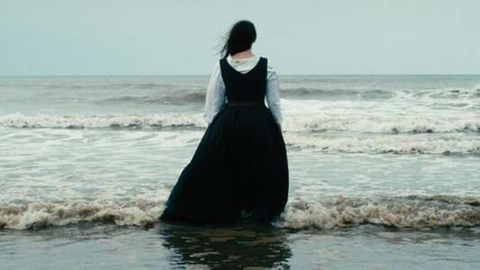 Lapwing - Backdrop