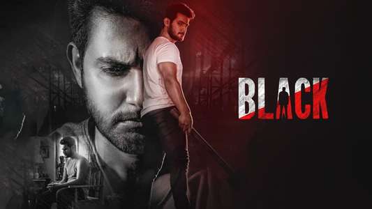 Black - Backdrop