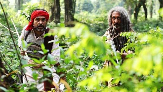 Sherdil: The Pilibhit Saga - Backdrops