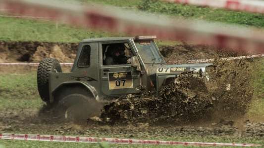Muddy - Backdrop