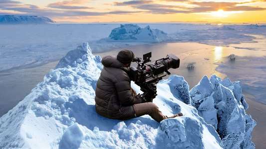 Bear Witness - Backdrops