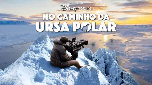 Bear Witness - Backdrops