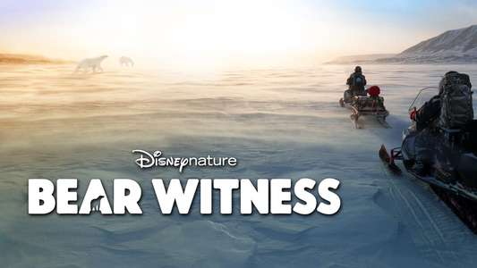 Bear Witness - Backdrops