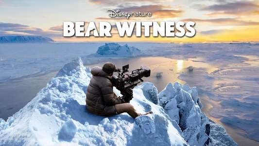 Bear Witness - Backdrops