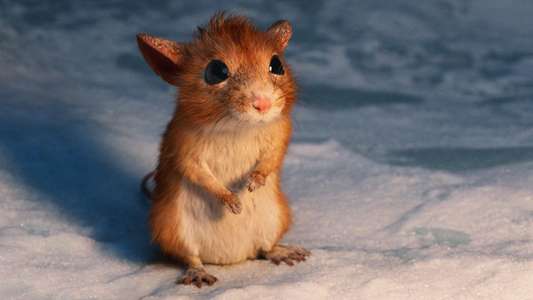 A Boy Called Christmas - Backdrop