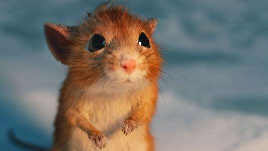 A Boy Called Christmas - Backdrop