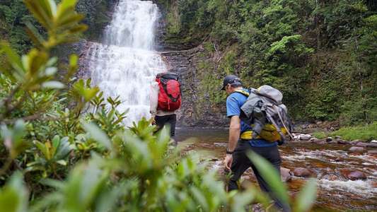 Explorer: The Last Tepui - Backdrops