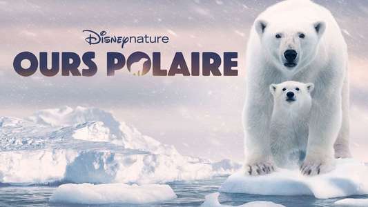 Polar Bear - Backdrops