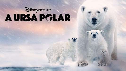 Polar Bear - Backdrops