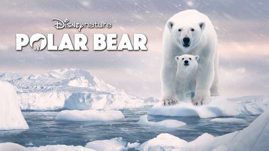 Polar Bear - Backdrops