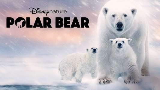 Polar Bear - Backdrops