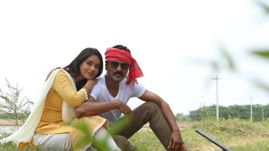 Pon Manickavel - Backdrops