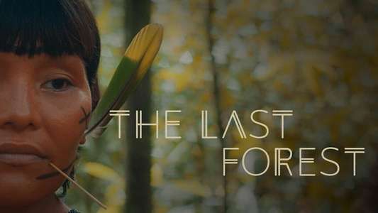 The Last Forest - Backdrop
