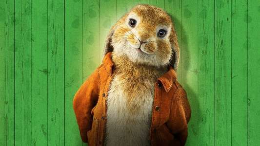 Peter Rabbit 2: The Runaway - Backdrop