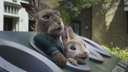 Peter Rabbit 2: The Runaway - Backdrop