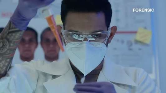 Forensic - Backdrops