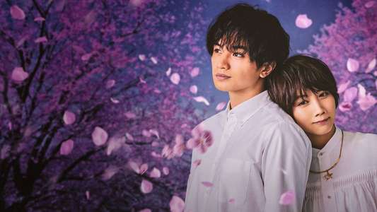 Love Like the Falling Petals - Backdrop