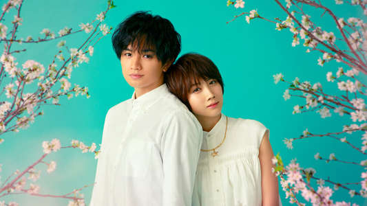 Love Like the Falling Petals - Backdrop