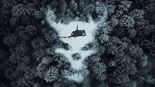 Paranormal Activity: Next of Kin - Backdrop