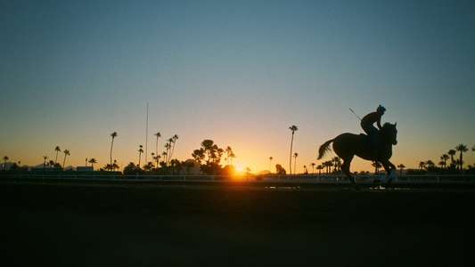 Jockey - Backdrop