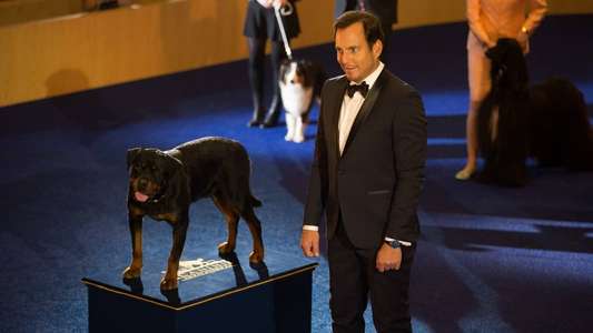 Show Dogs - Backdrop