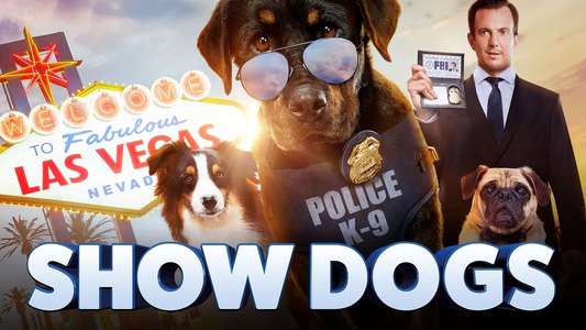 Show Dogs - Backdrop