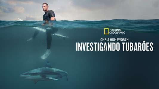 Shark Beach with Chris Hemsworth - Backdrops