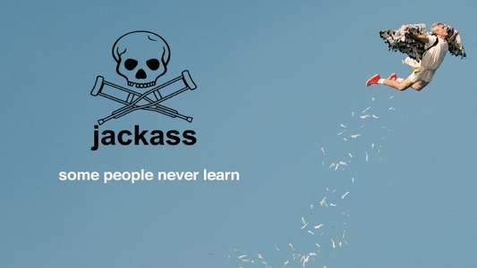 Jackass - Backdrop