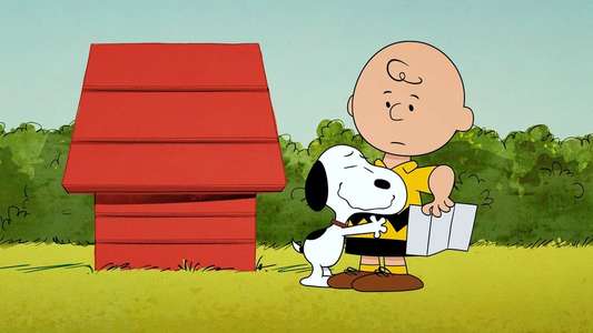 Who Are You  Charlie Brown? - Backdrop
