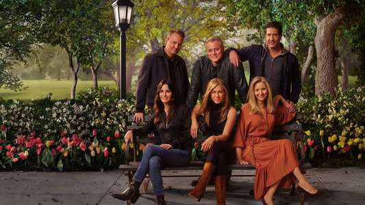 Friends: The Reunion - Backdrop