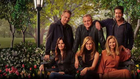 Friends: The Reunion - Backdrop
