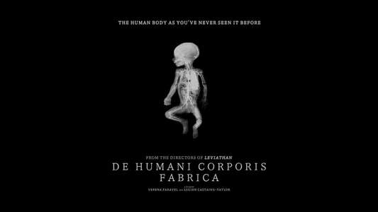 De Humani Corporis Fabrica - Backdrop